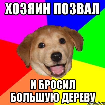 хозяин позвал и бросил большую дереву, Мем Advice Dog