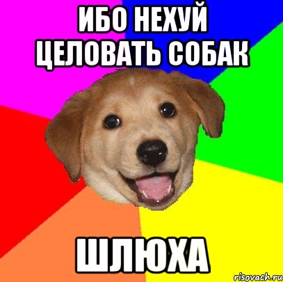 ибо нехуй целовать собак шлюха, Мем Advice Dog