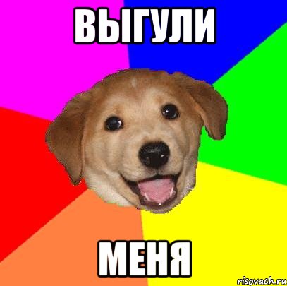 выгули меня, Мем Advice Dog