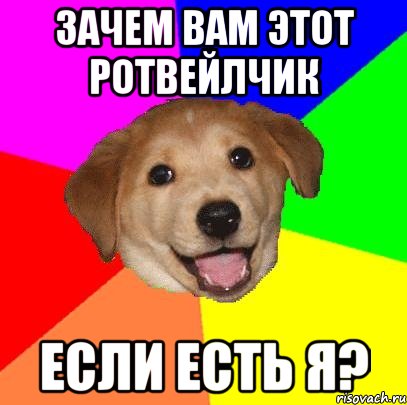 зачем вам этот ротвейлчик если есть я?, Мем Advice Dog