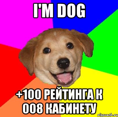 i'm dog +100 рейтинга к 008 кабинету, Мем Advice Dog