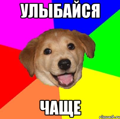 улыбайся чаще, Мем Advice Dog