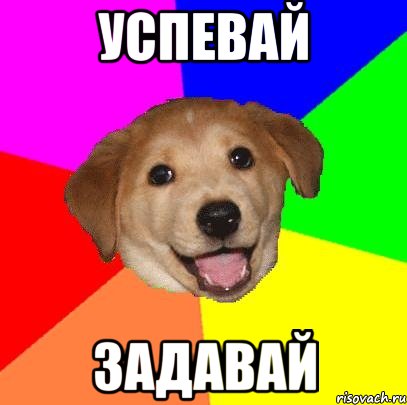 успевай задавай, Мем Advice Dog