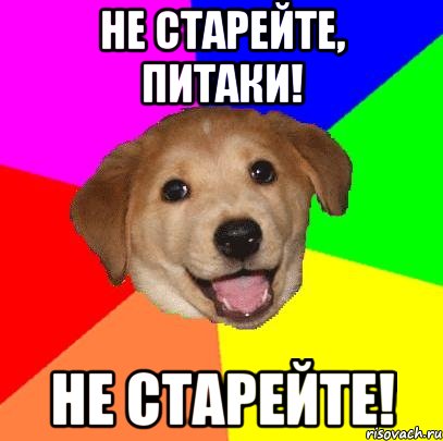 не старейте, питаки! не старейте!, Мем Advice Dog