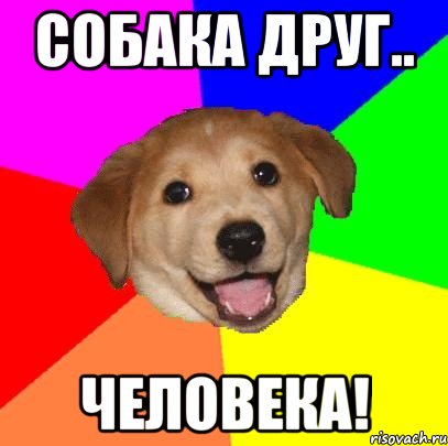 собака друг.. человека!, Мем Advice Dog