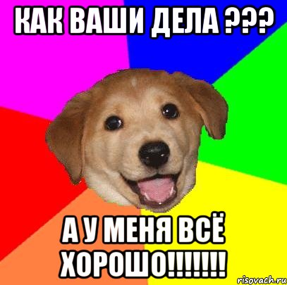 как ваши дела ??? а у меня всё хорошо!!!, Мем Advice Dog