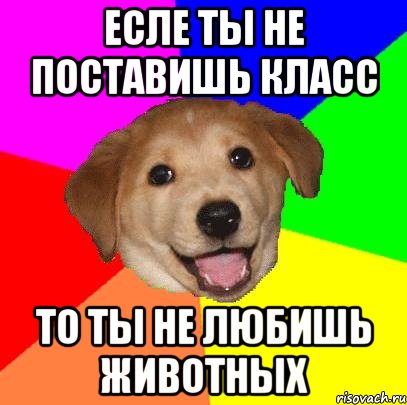 есле ты не поставишь класс то ты не любишь животных, Мем Advice Dog