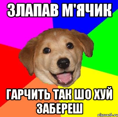 злапав м'ячик гарчить так шо хуй забереш, Мем Advice Dog