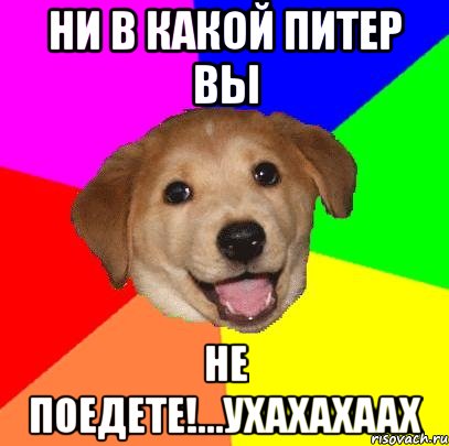 ни в какой питер вы не поедете!...ухахахаах, Мем Advice Dog