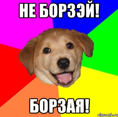 не борзэй! борзая!, Мем Advice Dog