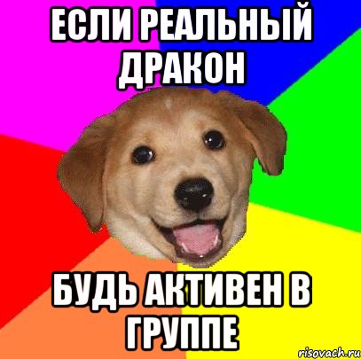 если реальный дракон будь активен в группе, Мем Advice Dog