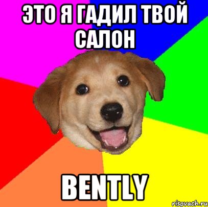 это я гадил твой салон bently, Мем Advice Dog