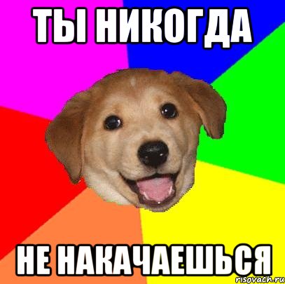 Ты никогда не накачаешься, Мем Advice Dog