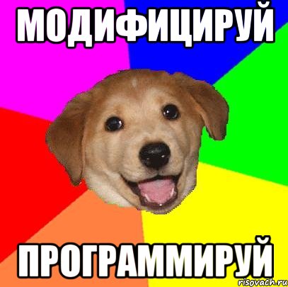 МОДИФИЦИРУЙ ПРОГРАММИРУЙ, Мем Advice Dog