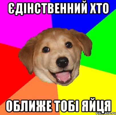 Єдінственний хто оближе тобі яйця, Мем Advice Dog