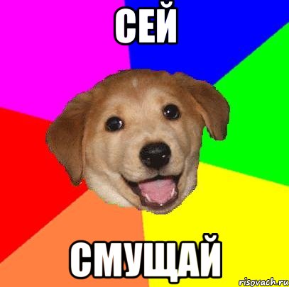 сей смущай, Мем Advice Dog