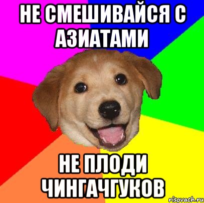 НЕ СМЕШИВАЙСЯ С АЗИАТАМИ НЕ ПЛОДИ ЧИНГАЧГУКОВ, Мем Advice Dog