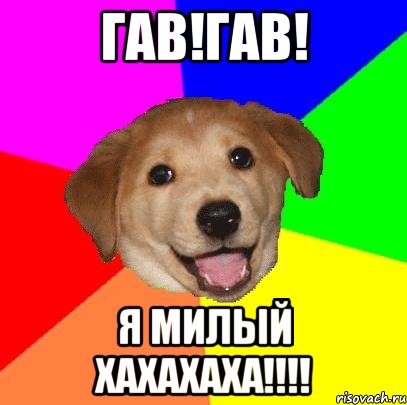 гав!гав! Я милый хахахаха!!!!, Мем Advice Dog