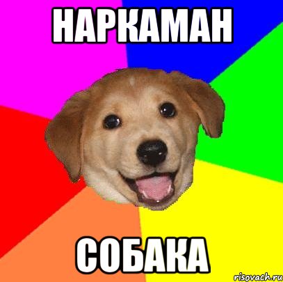 наркаман собака, Мем Advice Dog