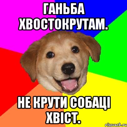 Ганьба хвостокрутам. не крути собаці хвіст., Мем Advice Dog