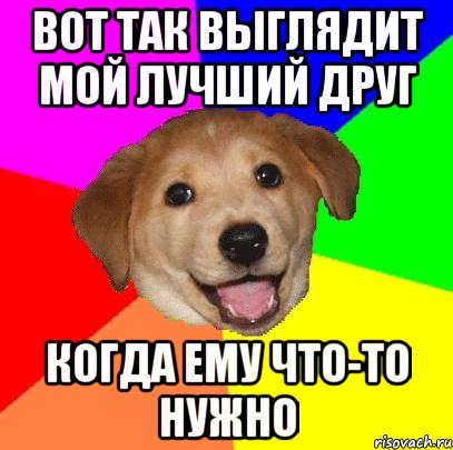 Вот так выглядит мой лучший друг КОГДА ЕМУ ЧТО-ТО НУЖНО, Мем Advice Dog