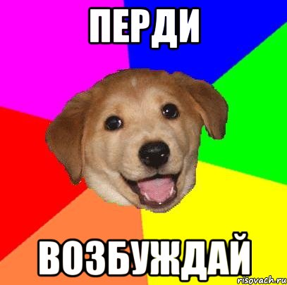 Перди возбуждай, Мем Advice Dog