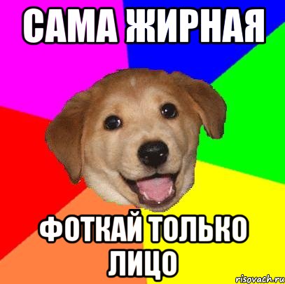 сама жирная фоткай только лицо, Мем Advice Dog