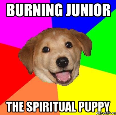 burning junior the spiritual puppy, Мем Advice Dog