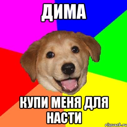 дима купи меня для насти, Мем Advice Dog