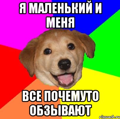 я маленький и меня все почемуто обзывают, Мем Advice Dog