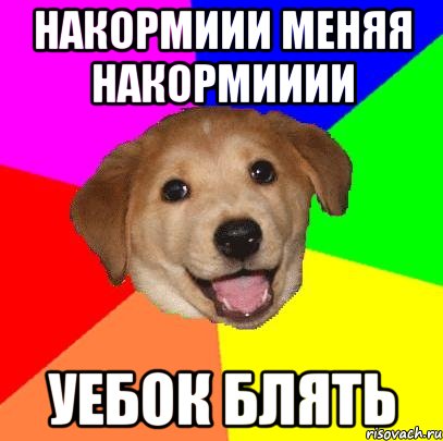 Накормиии МЕНЯЯ НАКОРМИИИИ Уебок блять, Мем Advice Dog