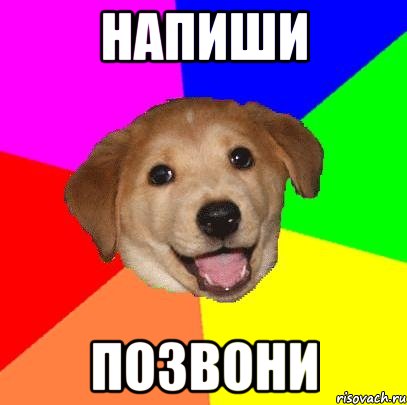 напиши позвони, Мем Advice Dog