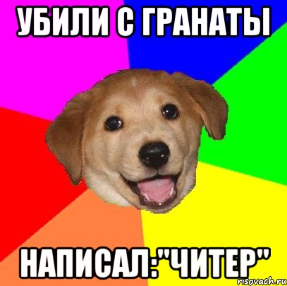 Убили с гранаты Написал:"Читер", Мем Advice Dog