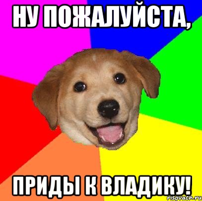 ну пожалуйста, приды к владику!, Мем Advice Dog