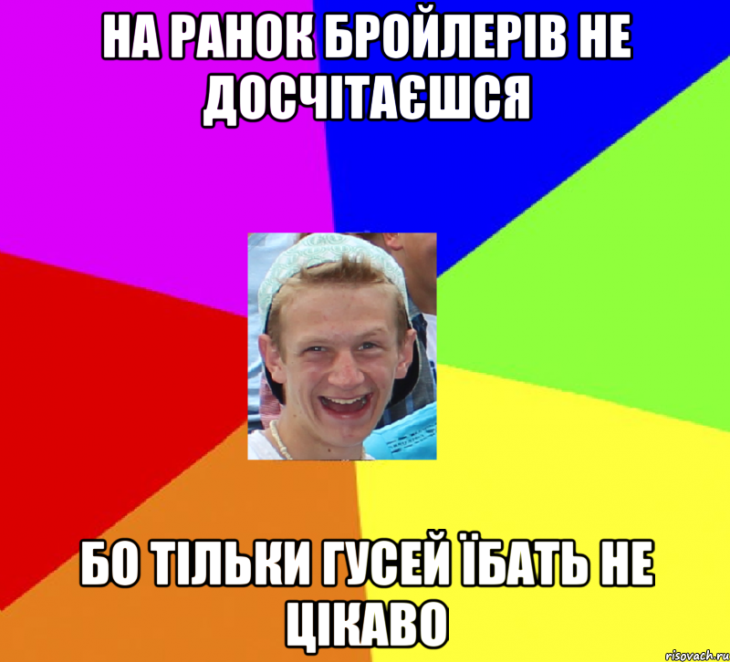 на ранок бройлерів не досчітаєшся бо тільки гусей їбать не цікаво