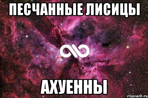 ПЕСЧАННЫЕ ЛИСИЦЫ АХУЕННЫ, Мем офигенно