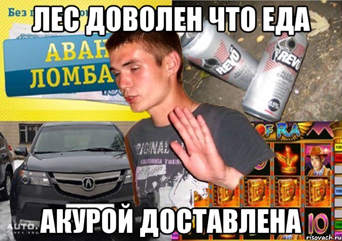 лес доволен что еда акурой доставлена
