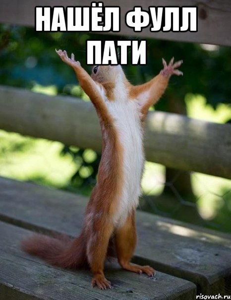 нашёл фулл пати , Мем    белка молится