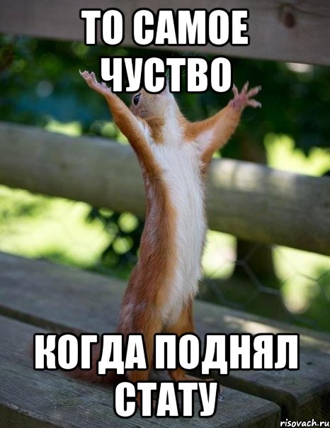 то самое чуство когда поднял стату, Мем    белка молится