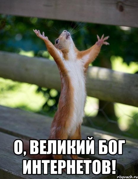  О, великий Бог Интернетов!, Мем    белка молится