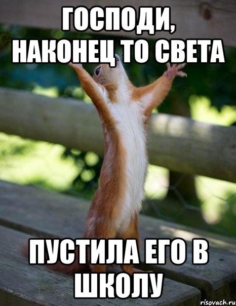 Господи, наконец то Света Пустила его в школу, Мем    белка молится