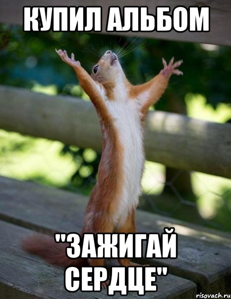 Купил альбом "Зажигай Сердце", Мем    белка молится