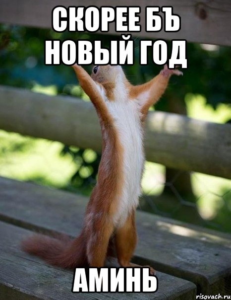 скорее бъ новый год аминь, Мем    белка молится