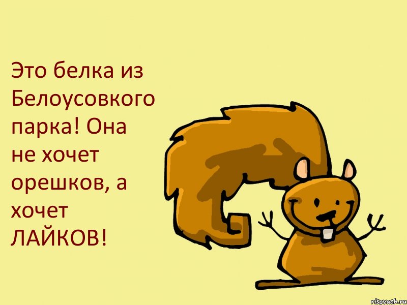 Это белка из Белоусовкого парка! Она не хочет орешков, а хочет ЛАЙКОВ!, Комикс  белка