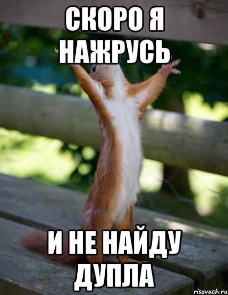 скоро я нажрусь и не найду дупла, Мем    белка молится