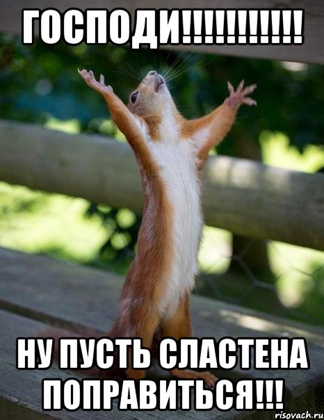 Господи!!!!!!!!!!! Ну пусть сластена поправиться!!!, Мем    белка молится