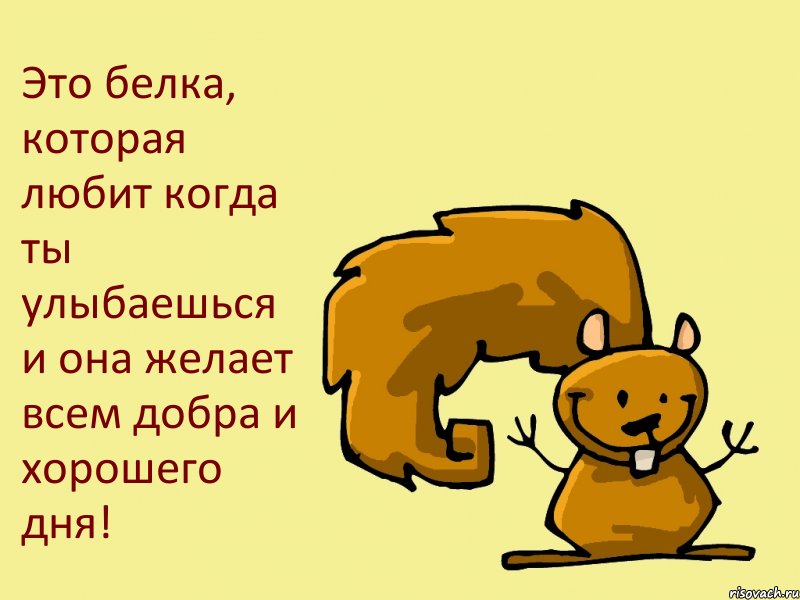 Это белка, которая любит когда ты улыбаешься и она желает всем добра и хорошего дня!, Комикс  белка