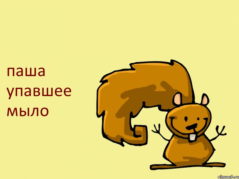 паша упавшее мыло, Комикс  белка