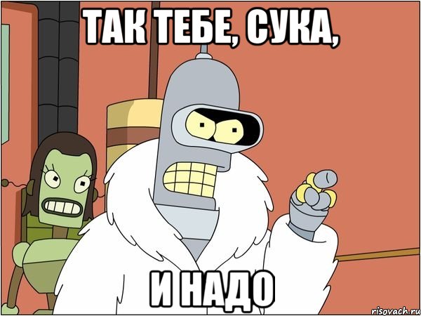 Так тебе, сука, и надо