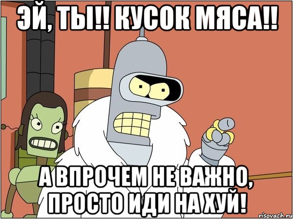 эй, ты!! кусок мяса!! а впрочем не важно, просто иди на хуй!, Мем Бендер